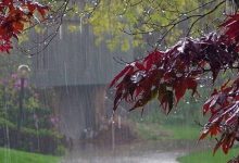 هواشناسی کشور ۹ فروردين ۱۴۰۳ / ادامه بارش باران در کشور