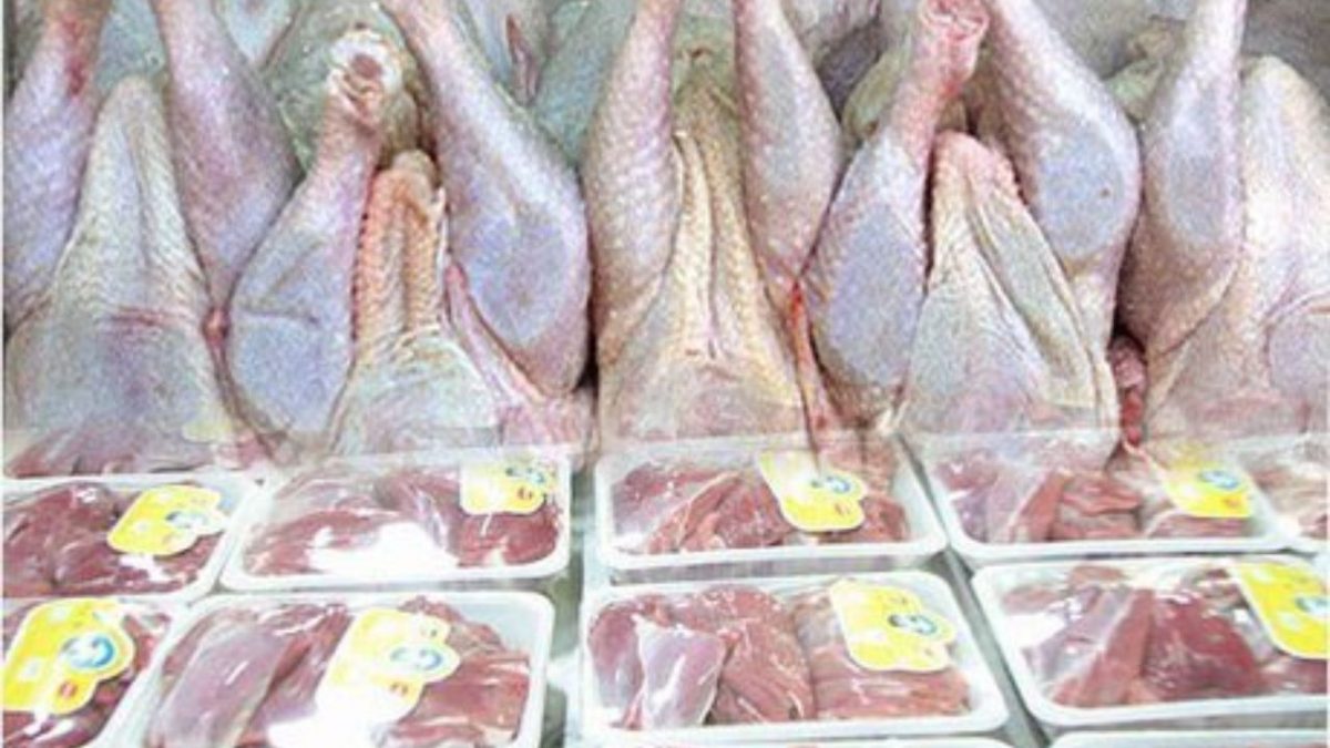 قیمت مرغ باز هم افزایش می‌یابد؟/ افزایش 90 درصدی هزینه‌های تولید
