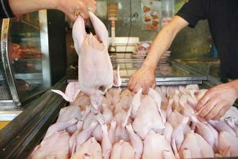 قیمت مرغ گرم ۲۶ خرداد ۱۴۰۱/ خرید تضمینی مرغ با قیمت مصوب تا هفته آینده