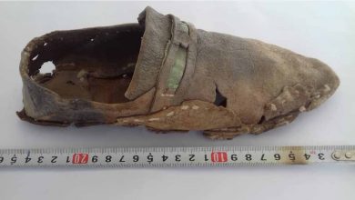 کفش چرمی تاریخی نهبندان در فهرست میراث ملی ثبت شد