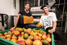چرم میوه؛ محصول خلاقیت دو جوان هلندی