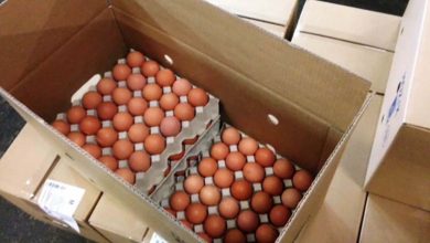 قیمت-جدید-تخم-مرغ-اردیبهشت-۱۴۰۱