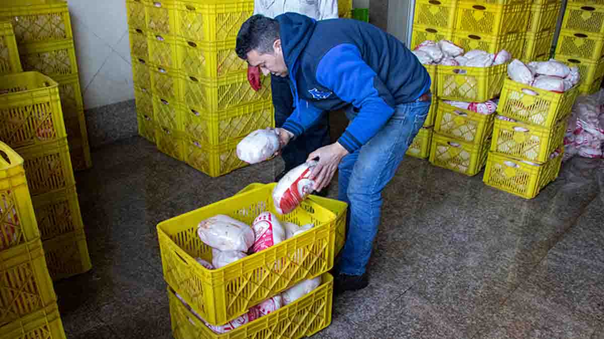 مرغ گرم عمده در میدان بهمن تهران ۴۸ تا ۴۹ هزار تومان