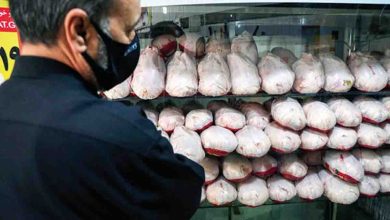توزیع مرغ منجمد با قیمت ۴۸ هزار تومان در بازار
