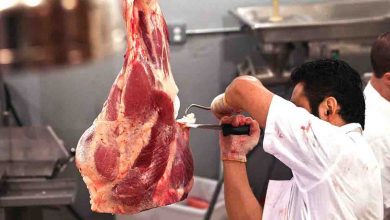 منتظر کاهش قیمت گوشت نباشید/ افزایش ۶ برابری قیمت نهاده