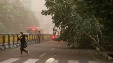 هشدار زرد باد شدید در تهران/ شهروندان مراقب باشند