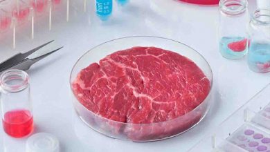 «گوشت مصنوعی» به بازار می‌آید‌