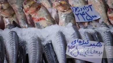 قیمت انواع ماهی و آبزیان 29 اردیبهشت 1401