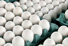 قیمت جدید تخم مرغ امروز ۱۱ اردیبهشت ۱۴۰۳