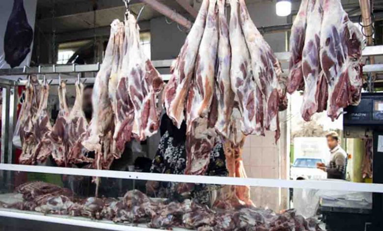 توزیع گسترده گوشت گوسفند روسی با قیمت ۱۸۰ هزار تومان در بازار