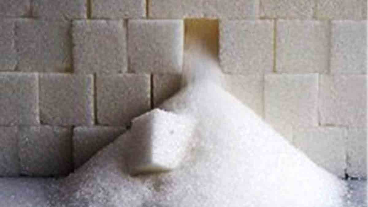 شکر رسما ۵۱ درصد گران شد/ قیمت جدید شکر اعلام شد