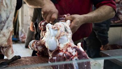 قیمت گوشت گرم ۹ مرداد ۱۴۰۱/ صادرات دام زنده آزاد شد