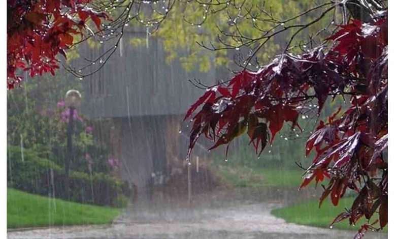 ۷۰ درصد بارش‌ها در کشور تبخیر می‌شود