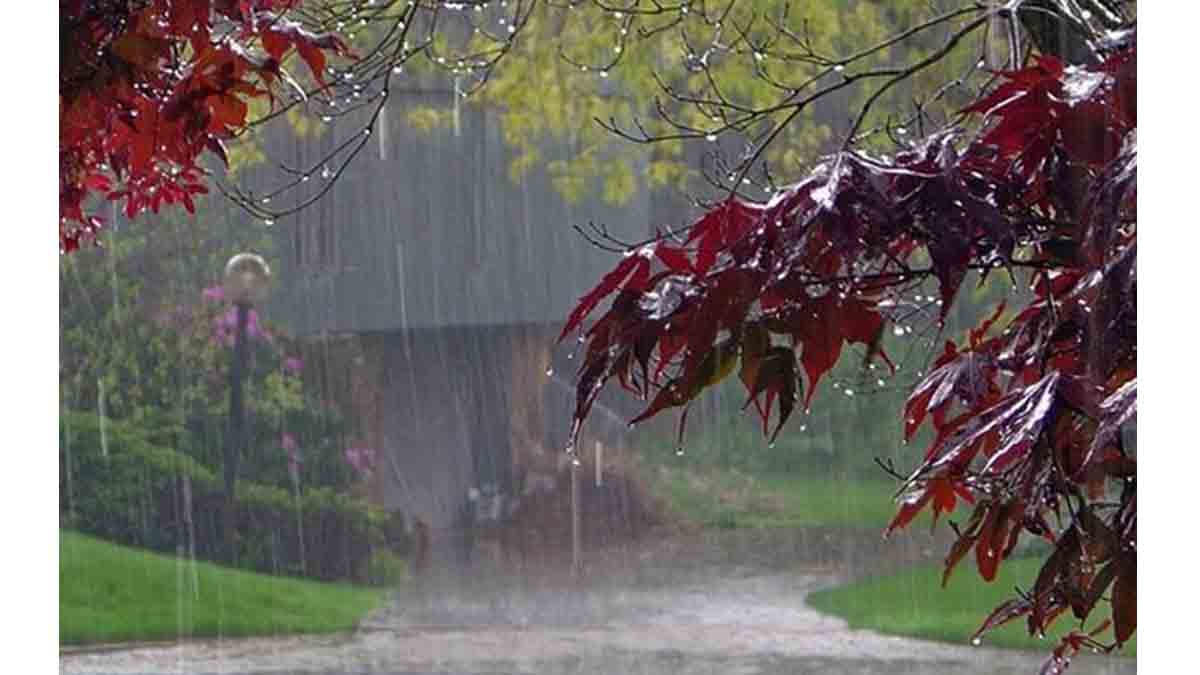 رشد ۱۰ درصدی بارش‌ها در کشور
