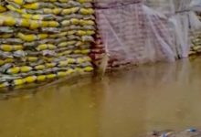 زیان برنج‌های سیل‌زده را مردم می‌پردازند؟/ قیمت برنج وارداتی افزایش می‌یابد؟