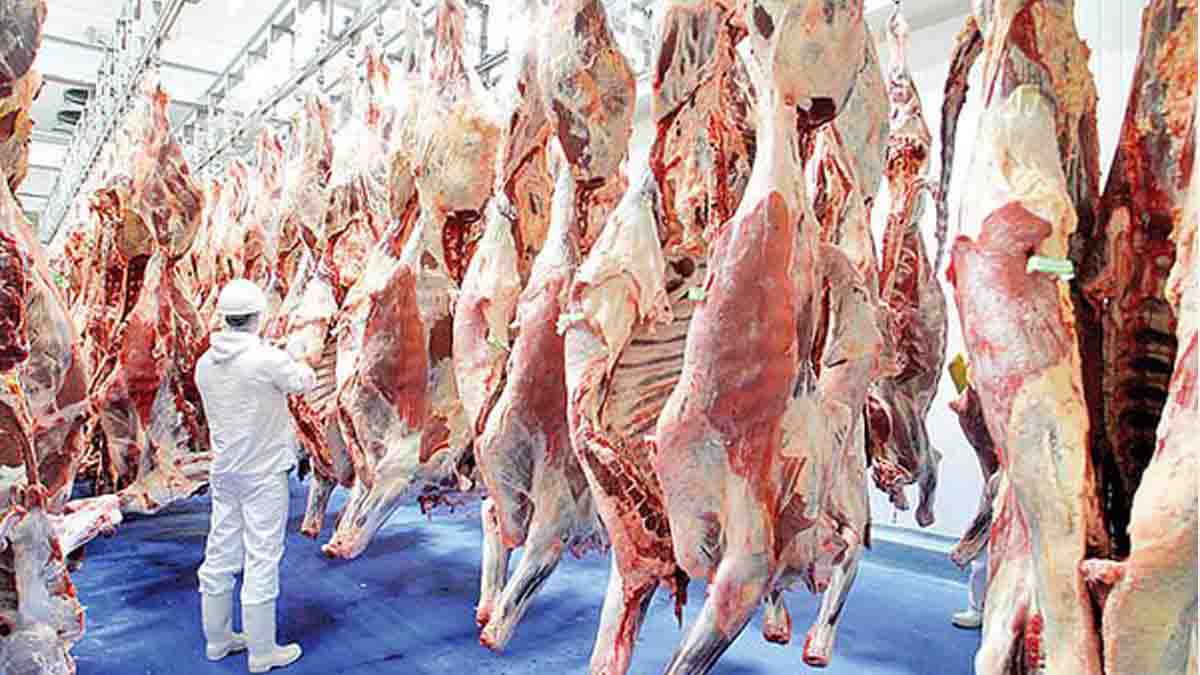 ثبات قیمت در بازار گوشت قرمز