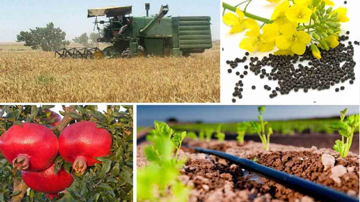 ایران در منطقه رتبه اول بیمه کشاورزی را دارد