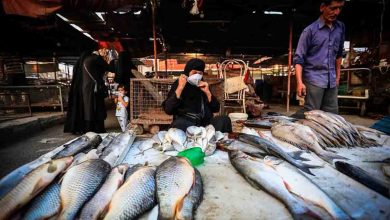ماهی «ازون برون» کیلویی ۷۰۰ هزار تومان!/ علت افزایش قیمت ماهی چیست؟