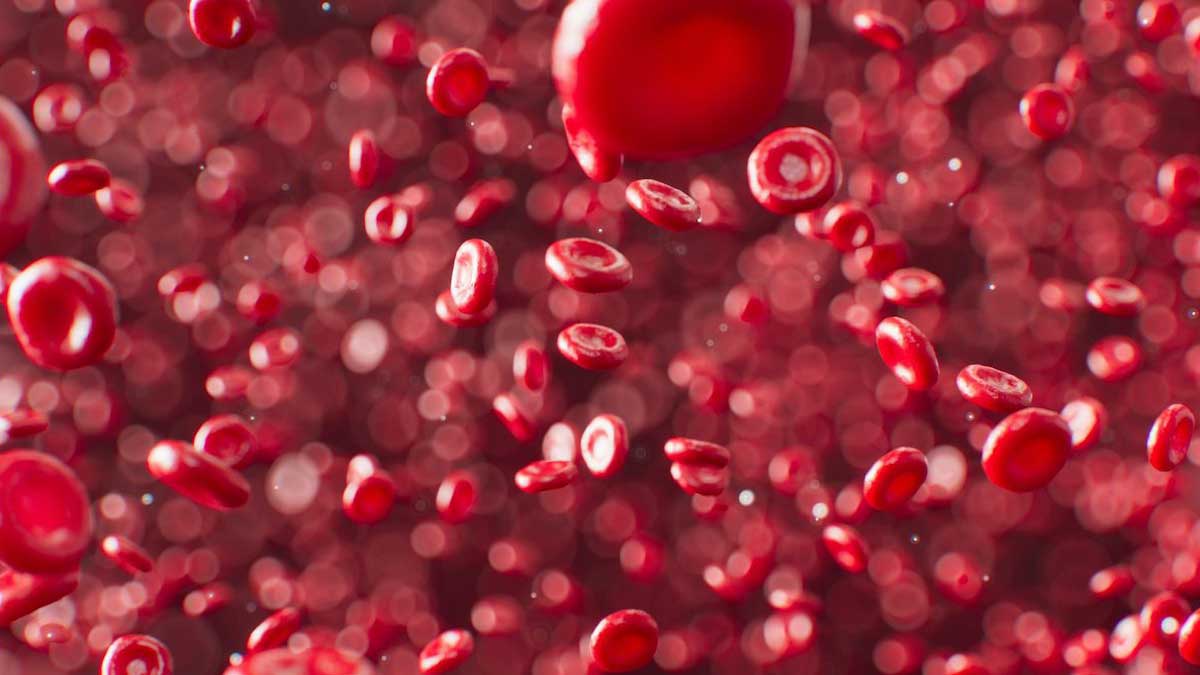 دانشمندان با یک آزمایش خون ساده موفق به تشخیص زودهنگام انواع سرطان شدند