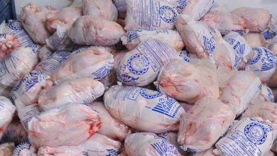 قیمت انواع مرغ در ۳ آذر ۱۴۰۱؛ توزیع مرغ منجمد را متوقف کنید
