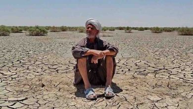 اپیدمی خشکسالی در خراسان جنوبی | ۱۰۰ درصد مساحت استان درگیر شد