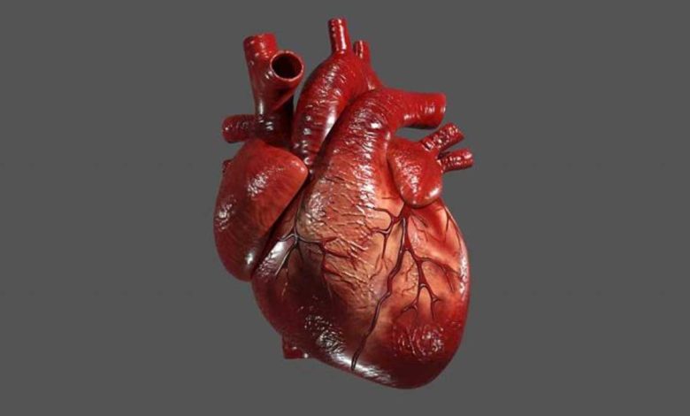 بیماری قلبی سالانه جان ۱۸.۶ میلیون نفر را در جهان می‌گیرد