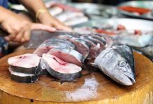 سرانه مصرف ماهی در کشور ۱۳ کیلو گرم است