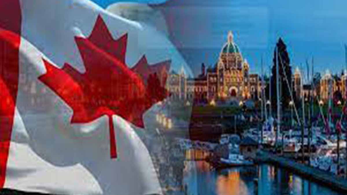 چرا همراهی وکیل مهاجرت برای مهاجرت به کانادا ضرورت دارد؟