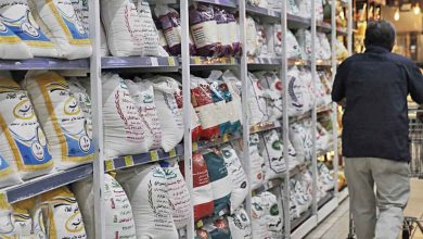 قیمت جدید انواع برنج در سوپرمارکت‌ها | هر کیلو برنج طارم و هاشمی چند؟