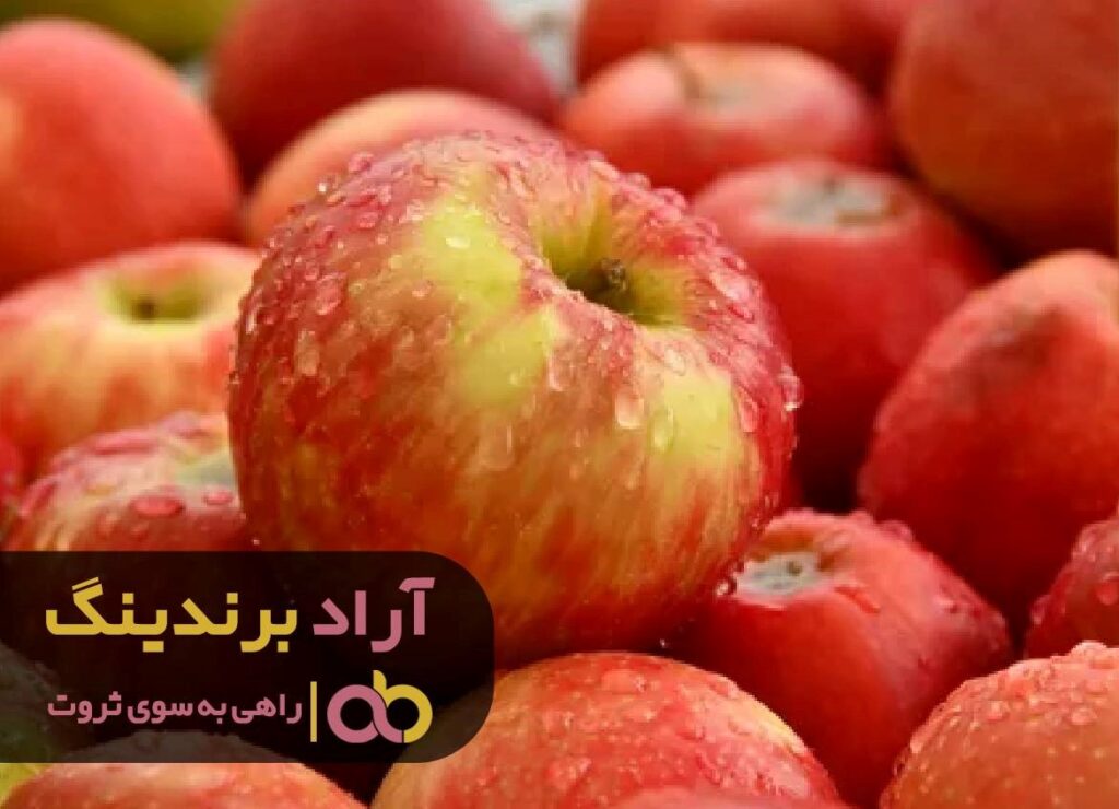 قیمت سیب درختی ۱۴۰۱