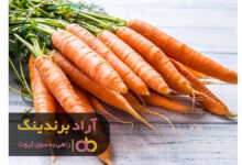 هویج بینایی سالم را تقویت می کند