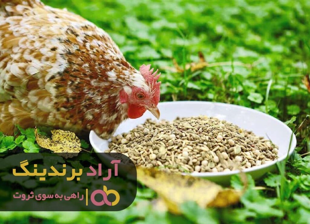 خوراک دام و طیور اصفهان