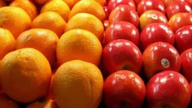 صادرات سیب و پرتقال آزاد شد+ سند