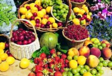 ۲۰ درصد مردم توان خرید میوه را ندارند