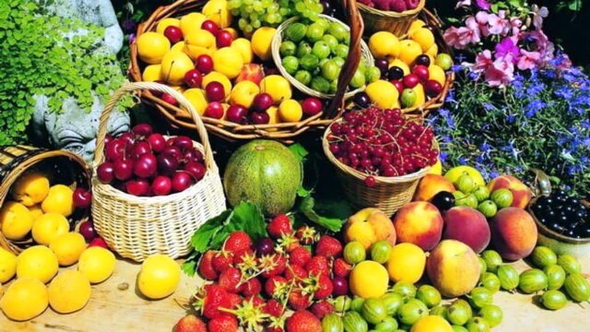 ۲۰ درصد مردم توان خرید میوه را ندارند