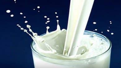 جزئیات افزایش قیمت شیرخام اعلام شد