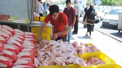 گوشت مرغ در بازار نباید ۸۰ هزار تومان بیشتر باشد