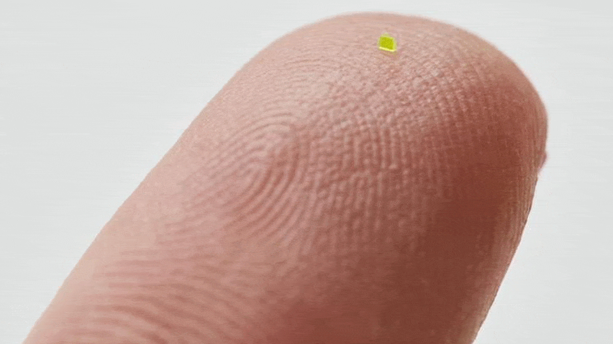 کوچک‌ترین کیف دستی جهان حتی یک دانه نمک هم جا نمی‌شود