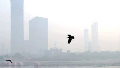 آلودگی هوا در 5 سال، جان 76 هزار نفر را گرفت