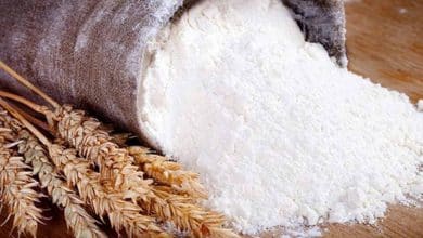 افزایش قیمت آرد در بازار دلالی