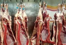 ارز واردات ۱۷۰ هزار تن گوشت قرمز اختصاص یافت