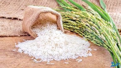 واردات برنج مشروط به خرید برنج داخلی است