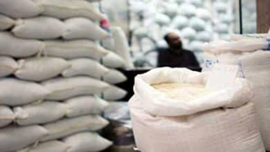 شرط وزارت جهاد کشاورزی برای واردات برنج