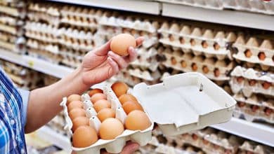 عرضه تخم مرغ کمتر از نرخ مصوب