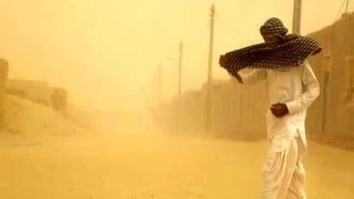 وضعیت بحرانی طوفان در منطقه سیستان/ 1000 نفر راهی بیمارستان شدند