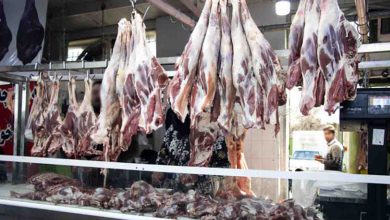 گوشت ارزان کنیایی در راه بازار ایران