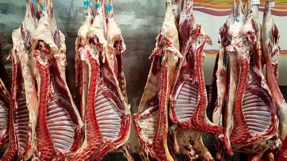 جدیدترین قیمت گوشت گوسفندی در بازار
