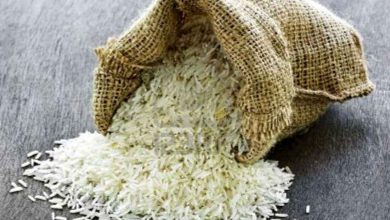 واردات ۳۰۰ هزار تن برنج در ماه های اخیر