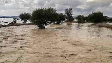 برآورد اولیه از سیلاب اخیر در سیستان و بلوچستان