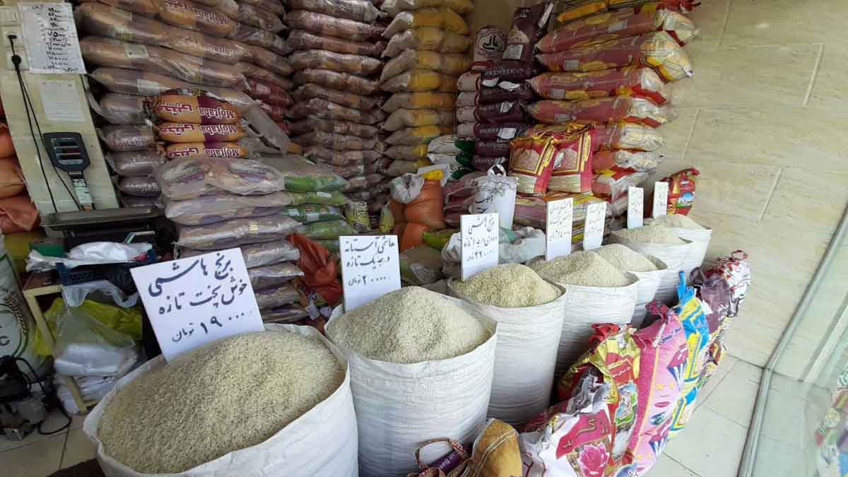 برنج ایرانی ارزان می‌شود؟